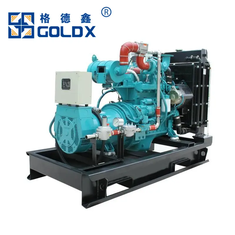 Gas Generator Set